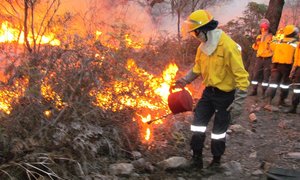 DAFF goedkeuring vir een groot Brandbeskermingsvereniging vir die Overberg